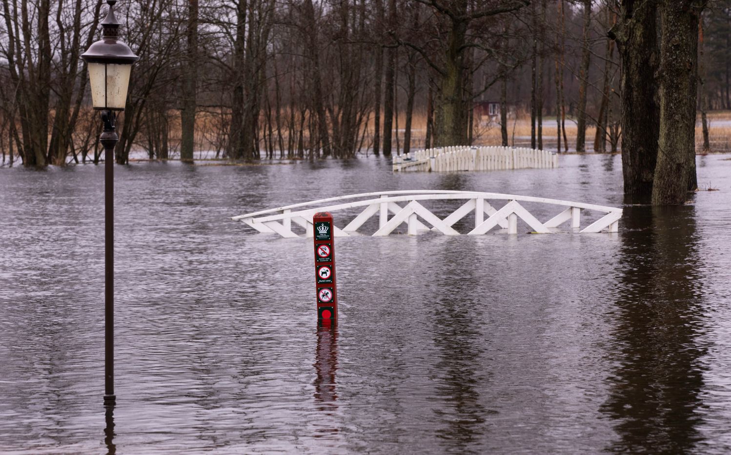 Oversvømmelse i Silkeborg
